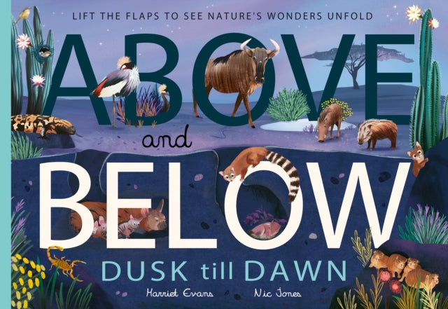 Above And Below Dusk Till Dawn