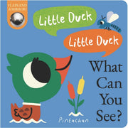 Little Duck Little Duck What Can You See By Ware, Kate