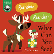 Reindeer Reindeer What Can You See By Costello, Dee