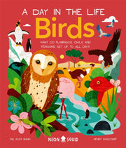 Day In The Life Birds