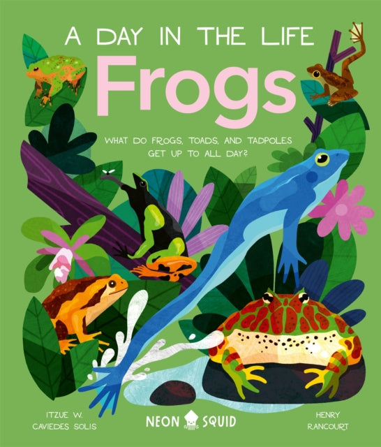 Frogs A Day In The Life