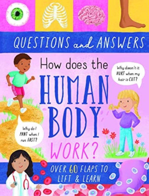 Human Body Questions & Answers