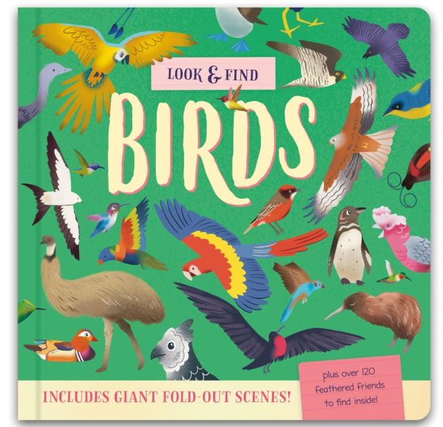 Look & Find Book Minibeasts