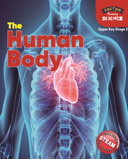 Human Body Upper Ks2 Science