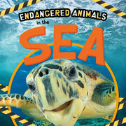 In The Sea