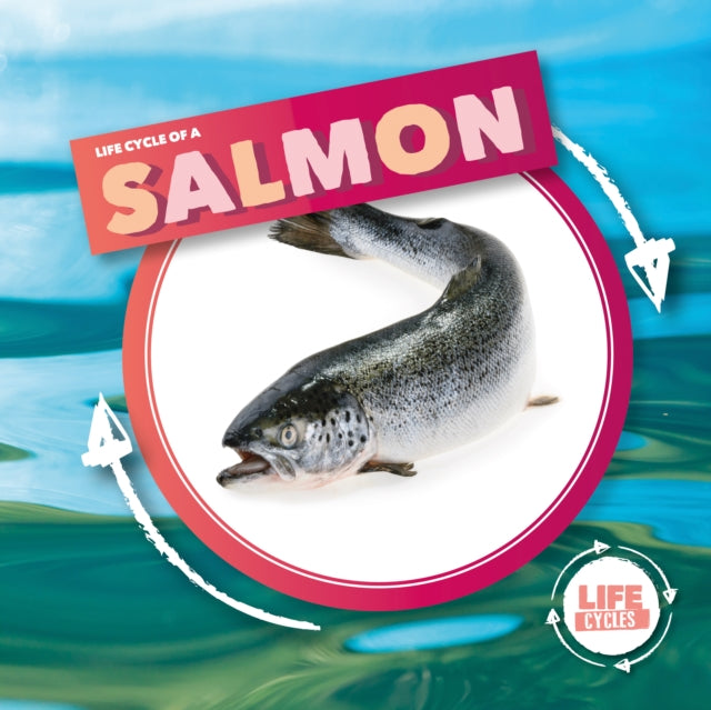 Salmon