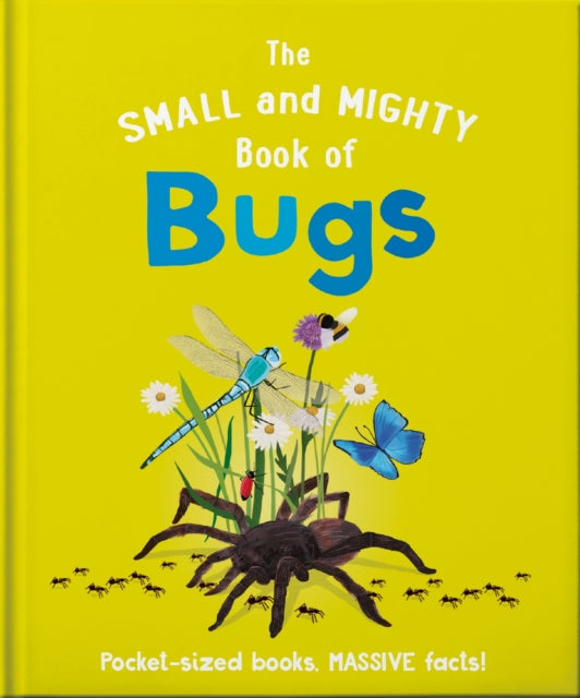 Small And Mighty Book Of Bugs