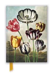 Temple Of Flora Tulips Foiled Journal