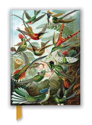 Ernst Haeckel