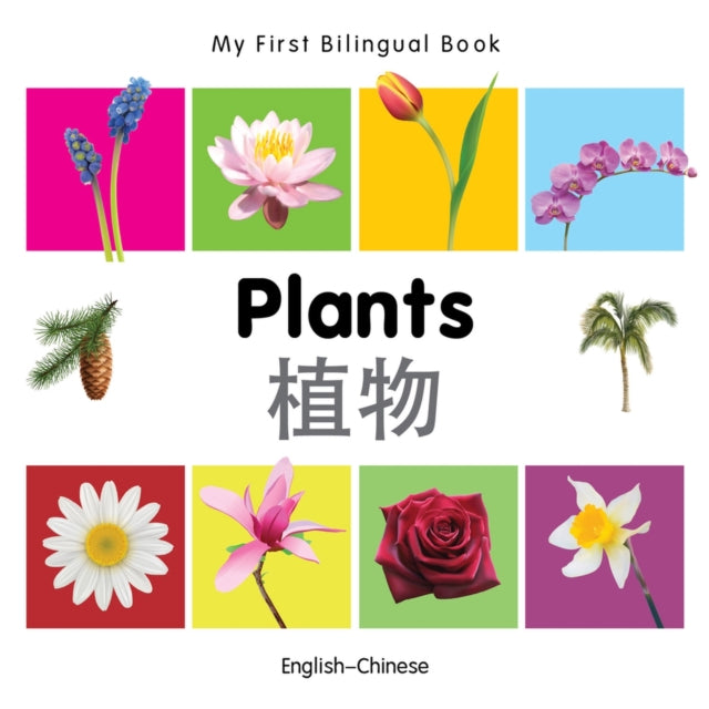 Plants English-chinese By Plants English-chinese