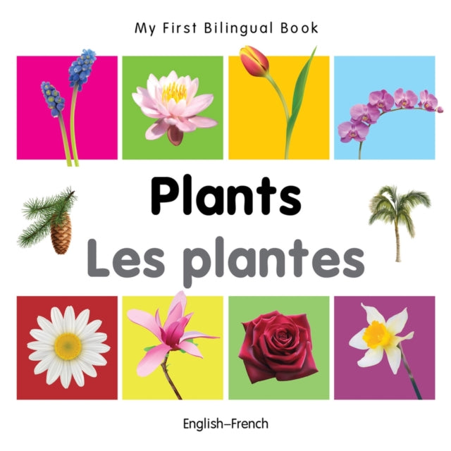 Plants English-french