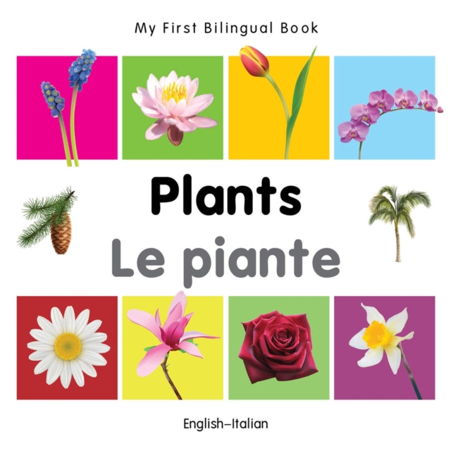 Plants English-italian By Milet