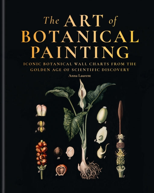 Art Of Botanical Painting By Laurent, Anna