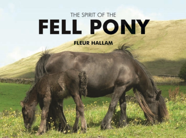 Spirit Of The Fell Pony