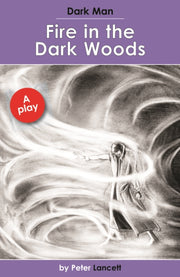 Fire In The Dark Woods