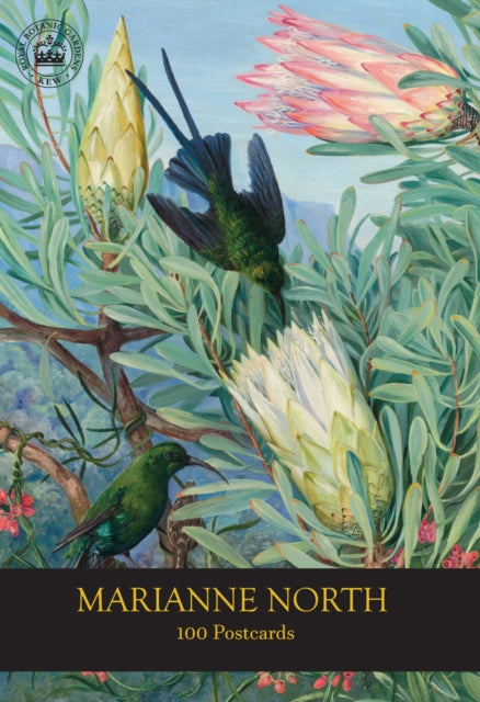Marianne North 100 Postcards By Rbg Kew