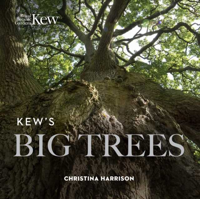 Kews Big Trees