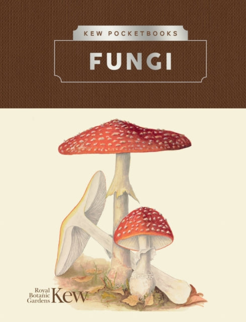 Fungi