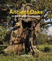 Ancient Oaks In The English Landscape
