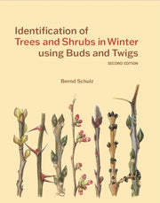 Identification Of Trees & Shrubs In Wint