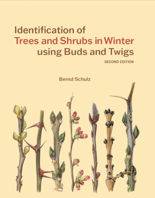 Identification Of Trees & Shrubs In Wint