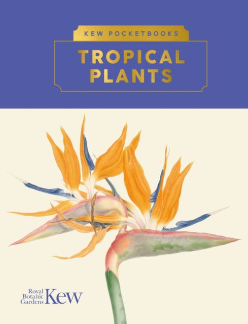 Tropical Plants
