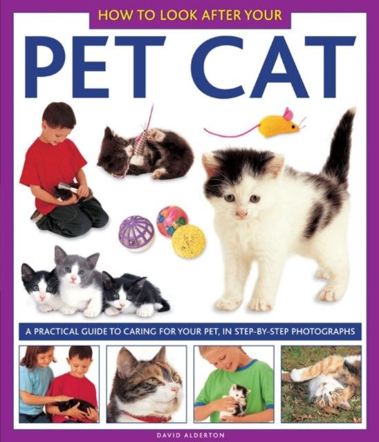 Pet Cat