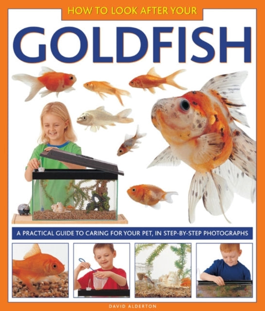Goldfish