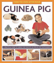 Guinea Pig