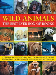 Wild Animals The Best Ever Box Of Books