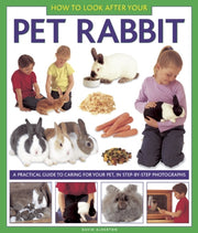 Pet Rabbit