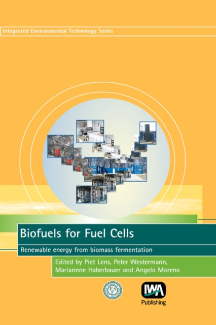 Biofuels For Fuel Cells
