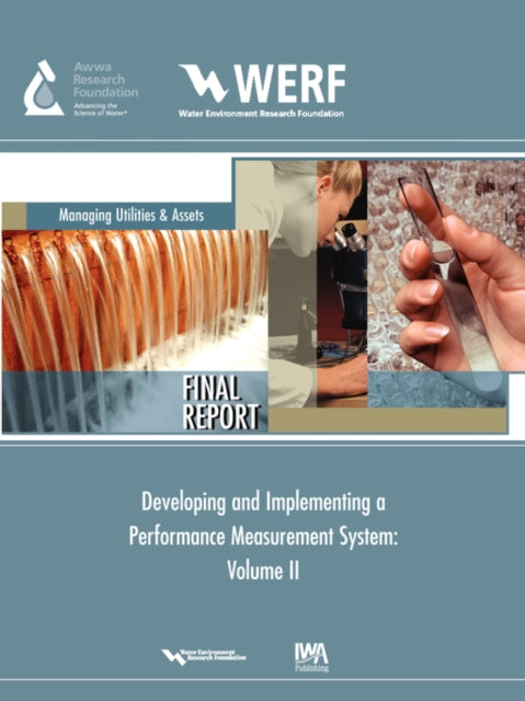 Developing And Implementing A Performanc