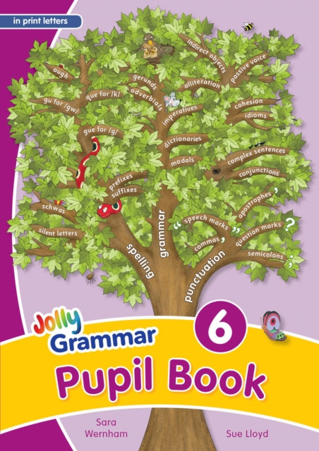 Grammer 6 Handbook Pupil In Print Letter