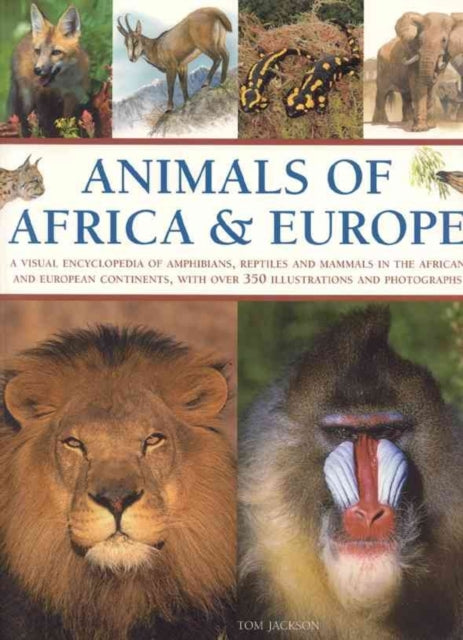 Animals Of Africa Europe