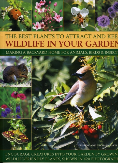Best Plants To Attract & Keep Wildlife By Lavelle, Christine