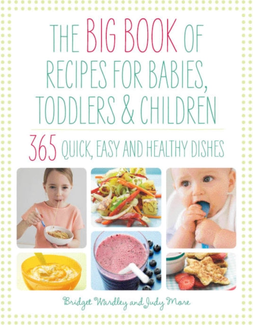 Big Book Of Recipes/babies Toddlers Chil