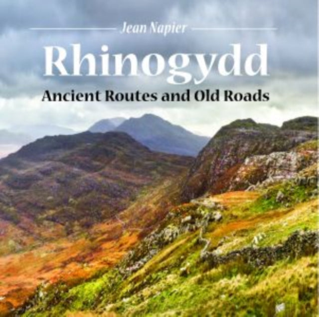 Rhinogydd Ancient Routes & Old Roads