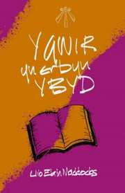 Y Gwir Yn Erbyn Y Byd By Maddocks,llio