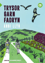 Cyfres Amdani Trysor Garn Fadryn