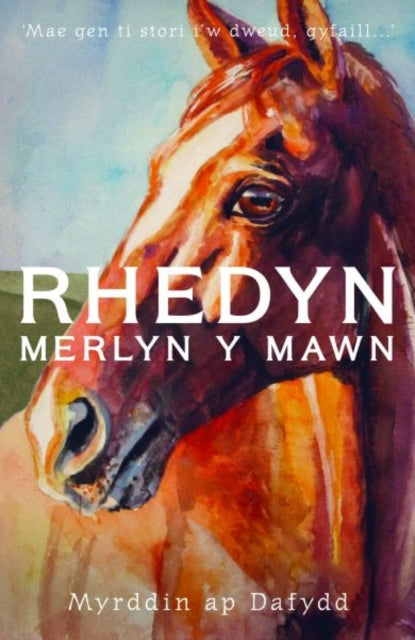 Rhedyn Merlyn Y Mawn Ar Glo