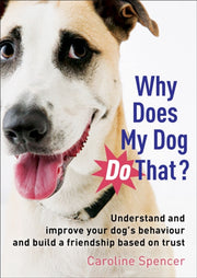 Why Does My Dog Do That C