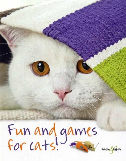 Fun And Games For Cats