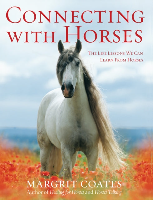 Connecting With Horses