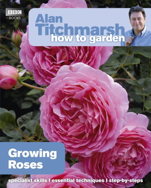 Growing Roses