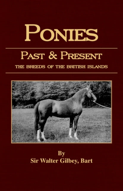 Ponies Past And Present (equestrian Hist