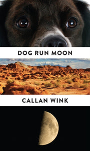 Dog Run Moon Stories