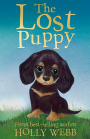 Lost Puppy