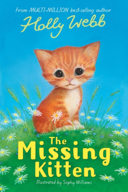 Missing Kitten By Webb, Holly