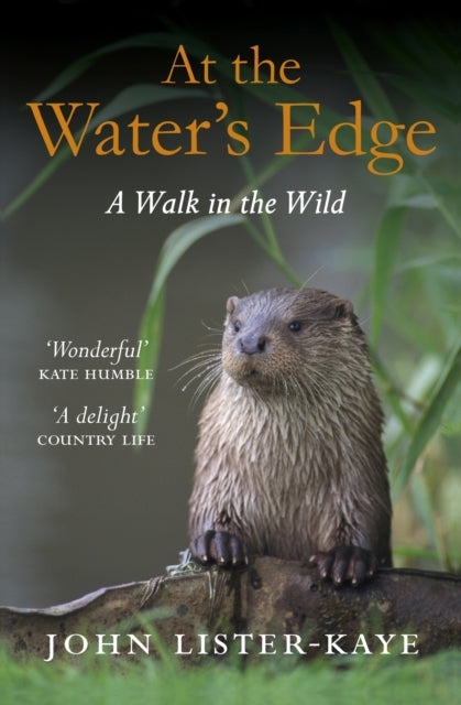 At The Waters Edge